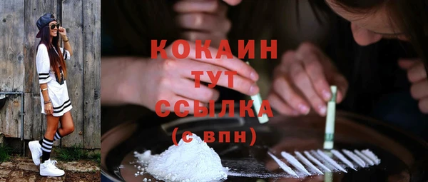 a pvp Алзамай