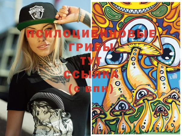 PSILOCYBIN Алексеевка