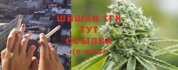 a pvp Алзамай