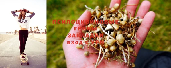 PSILOCYBIN Алексеевка